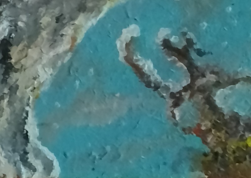 La mosca y el cosmos.
