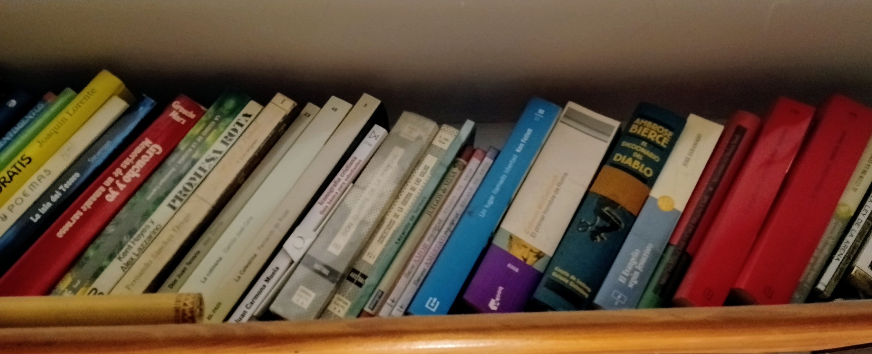 El libro olvidado.