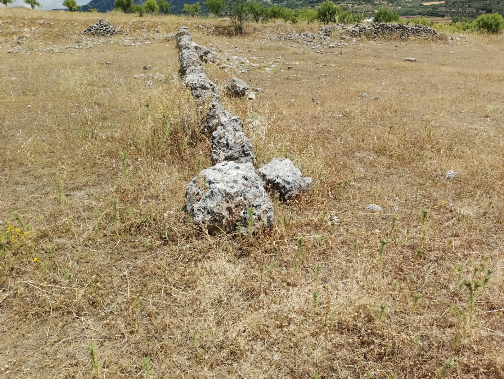 Alma en pena.