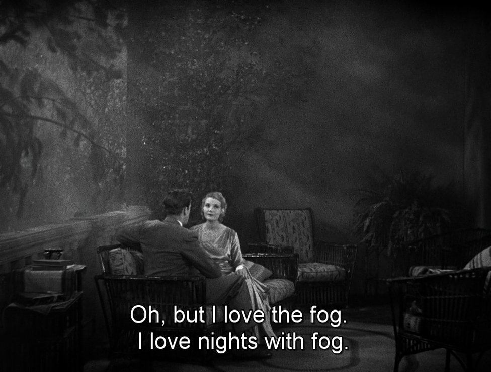 un murciélago entró en mi habitación