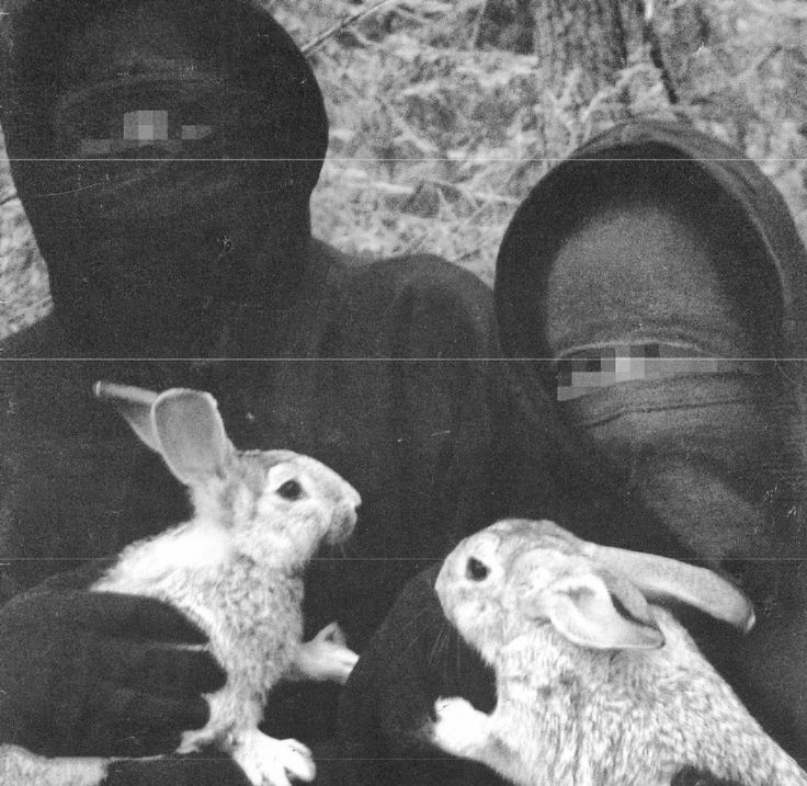 las distancias se expanden frente a tus ojos