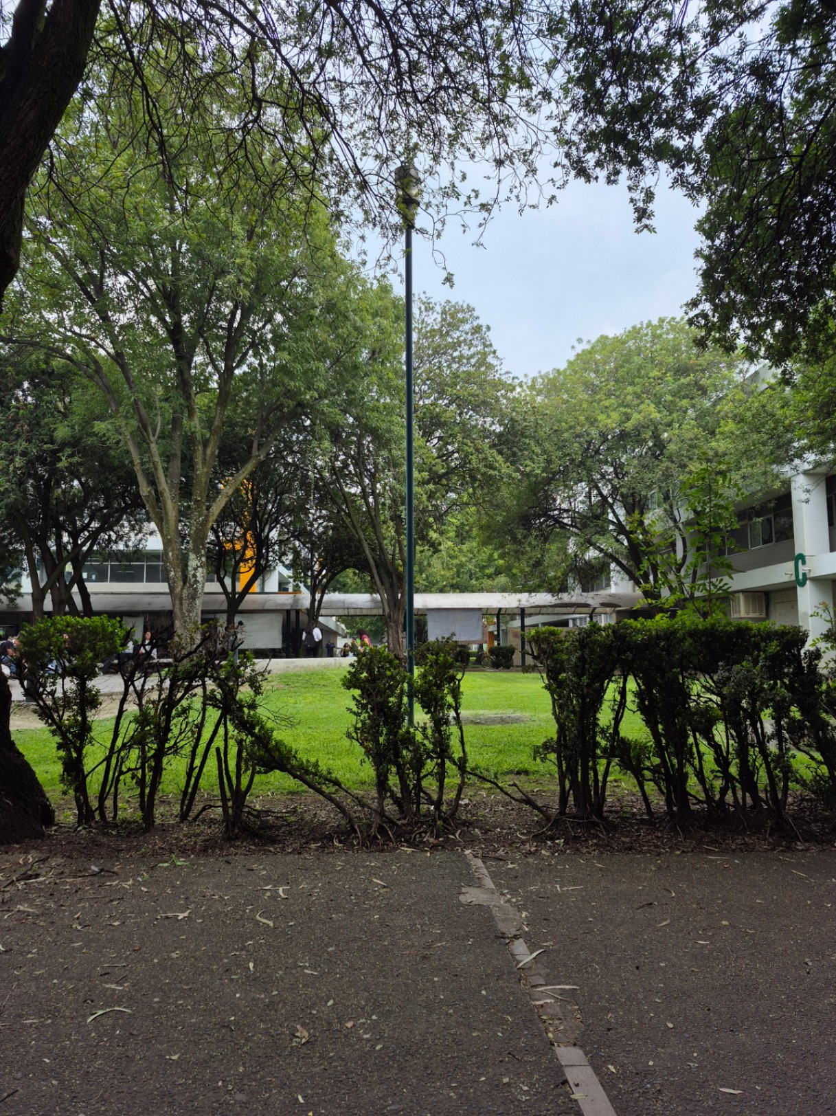 Vinculo 