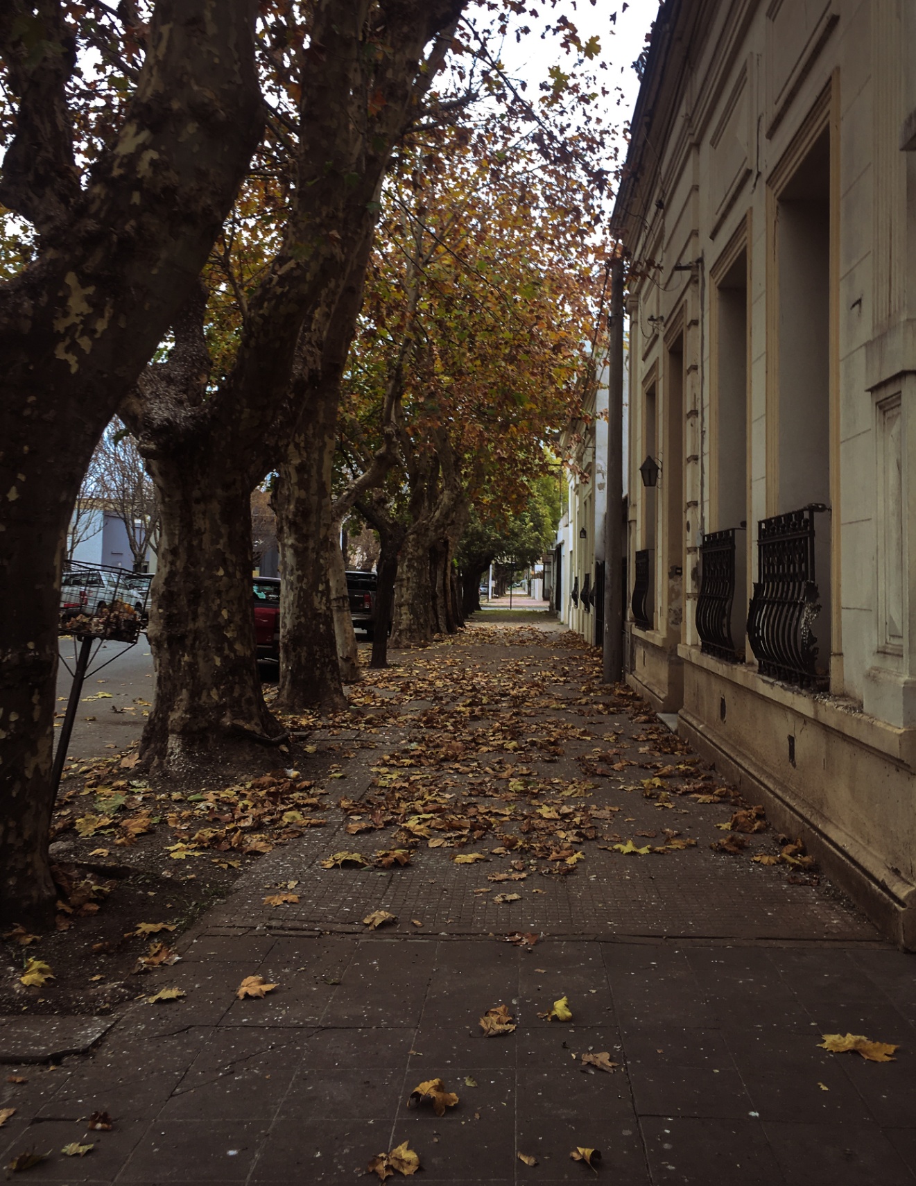 ¿Qué palabras usar?