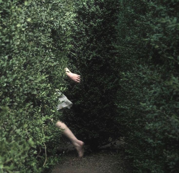 Lista del súper de la vida 