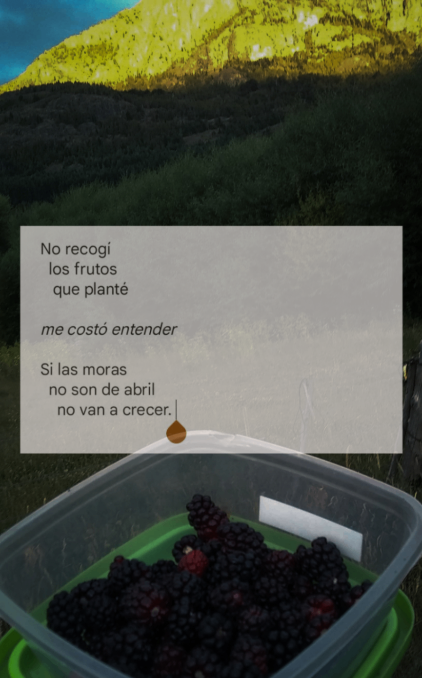 Las moras no son de abril 