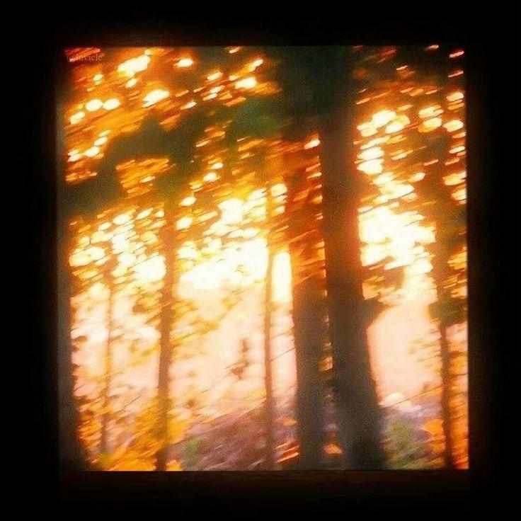 Light