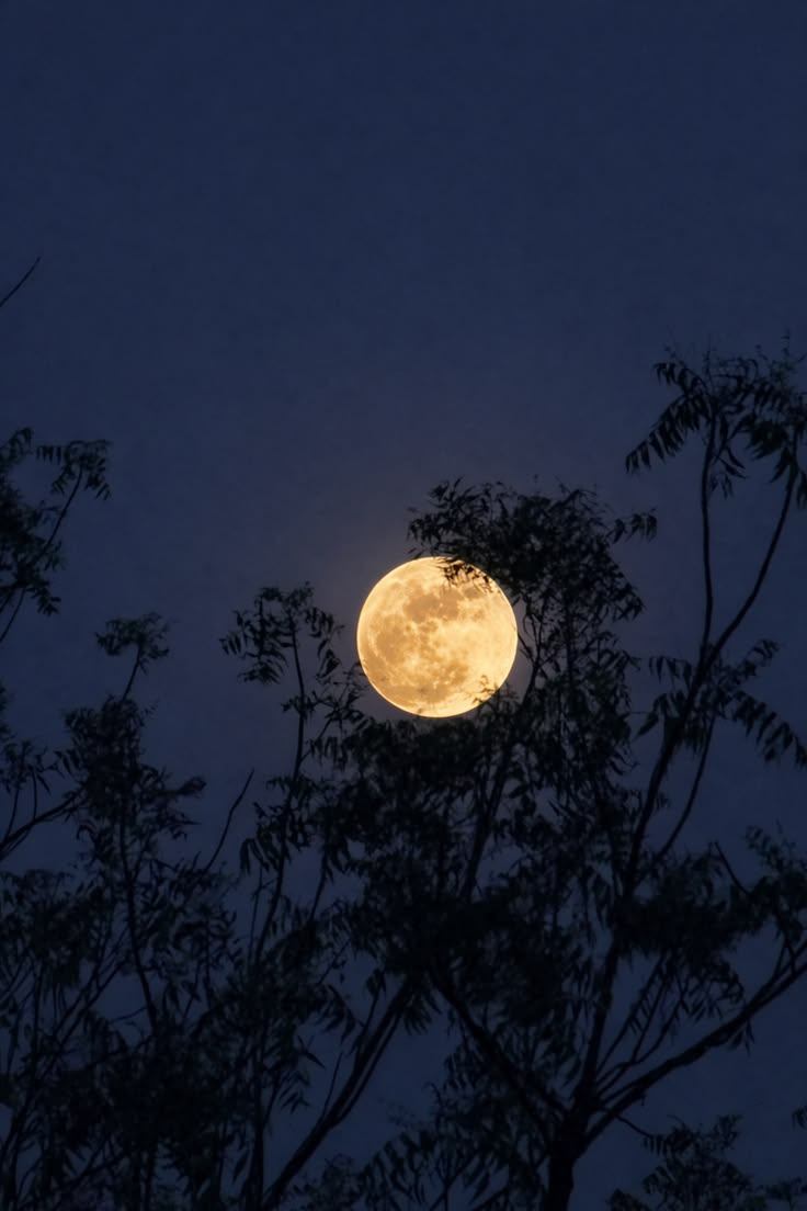 La Soberana Luna