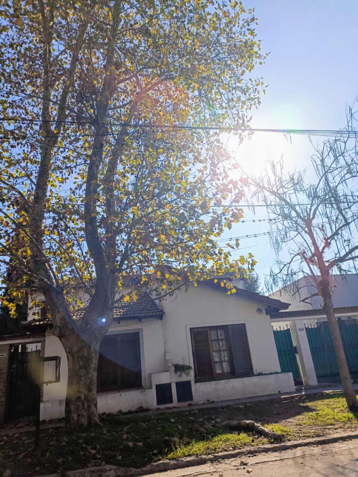 SOL DE OTOÑO