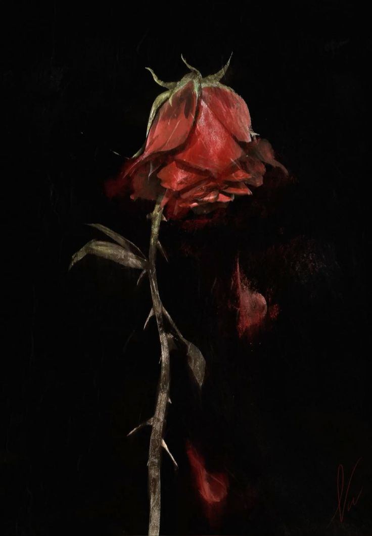 Mi rosa marchita🌹 