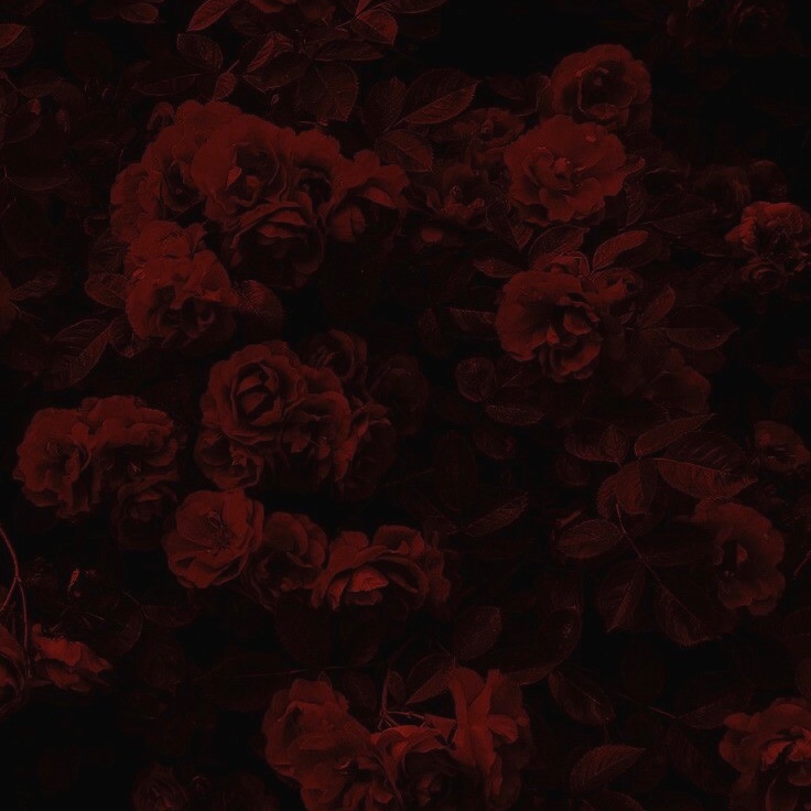 Mora Díaz Betelú  cover img