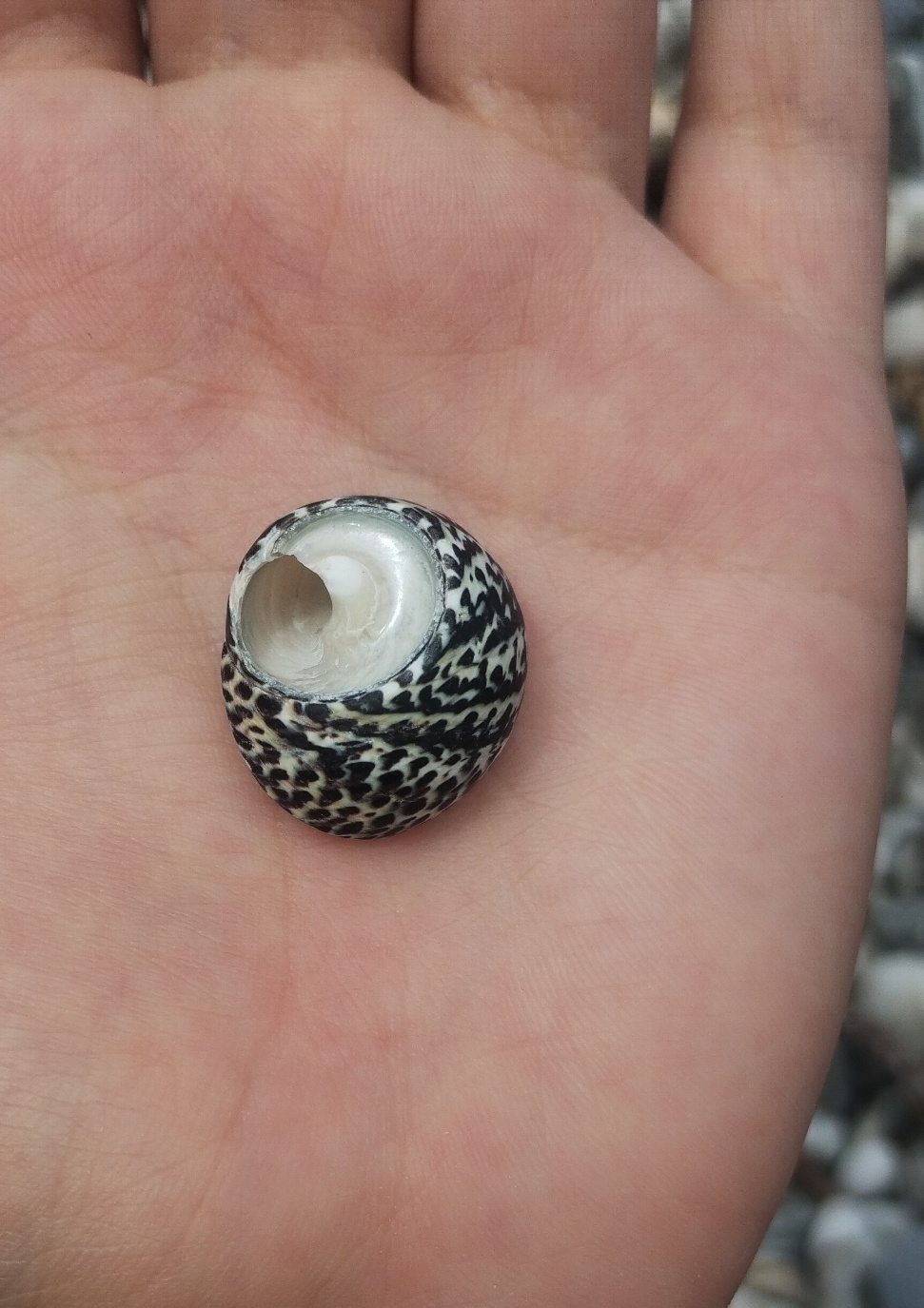 todavía queda espacio