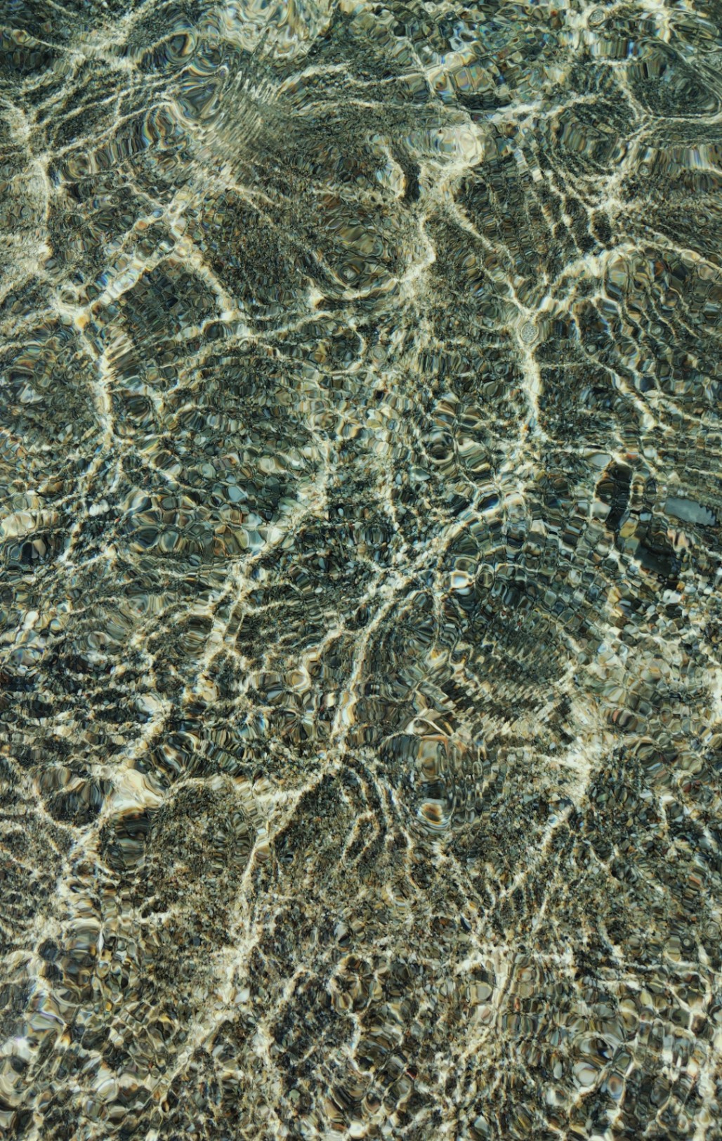 ¿por qué no me dejás correr con vos?