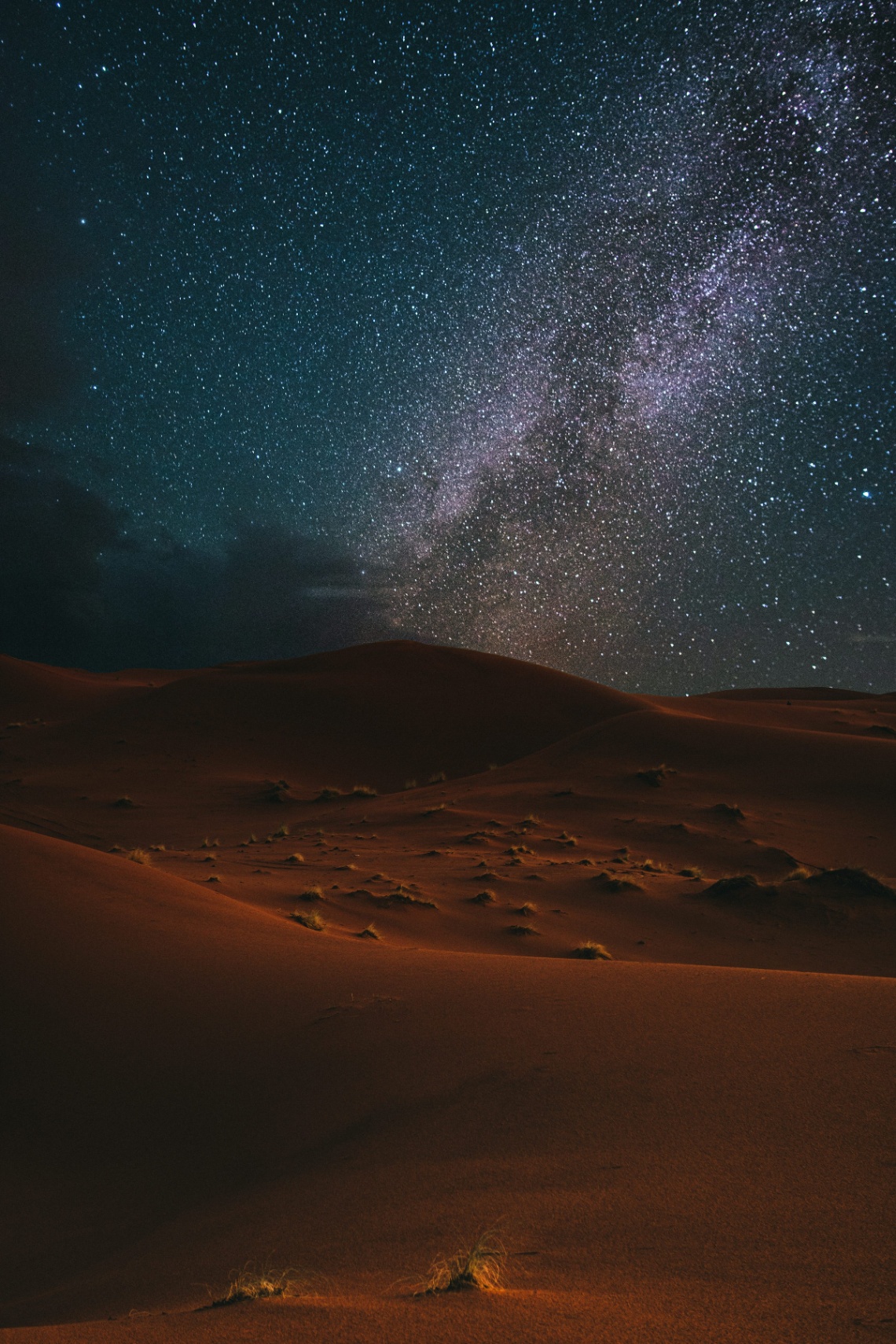 Un Mar De Estrellas