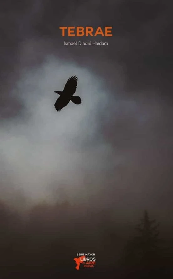 El tebrae: una antigua forma poética que permanece en la obra de Ismaël Diadié Haïdara