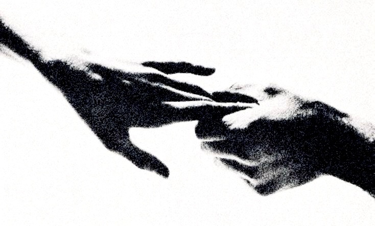 del cielo al infierno