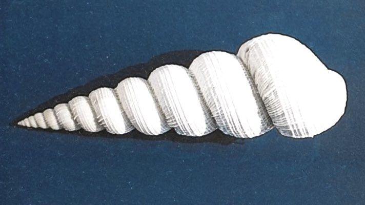 Estás en el océano justo ahora.