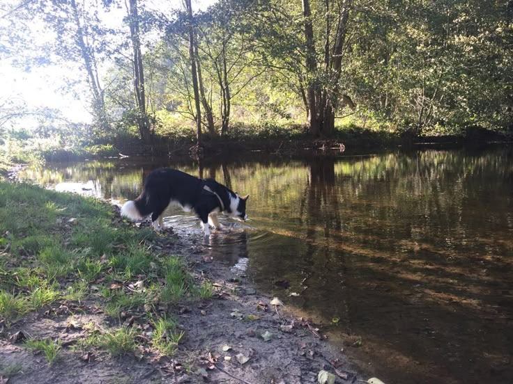 Inherencia a la existencia