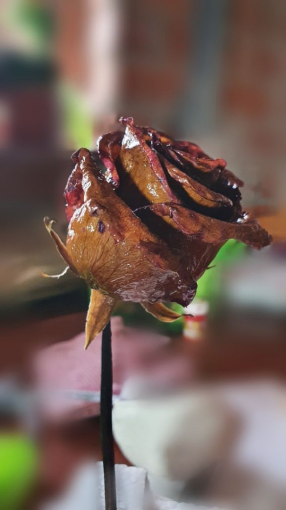 Flor en putrefacción 