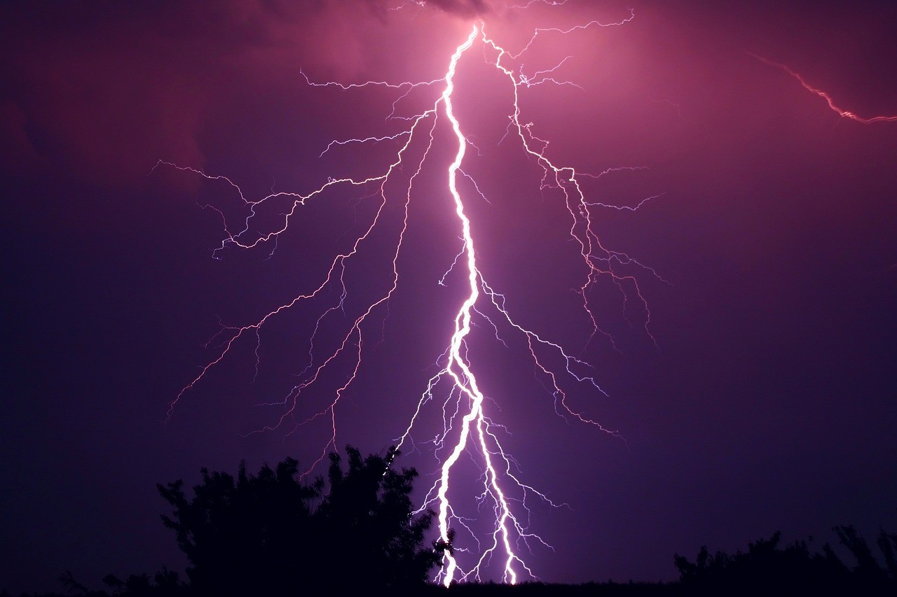 Morado.