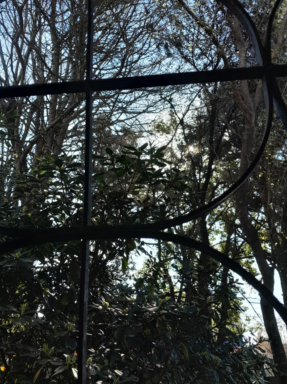 Esperando la Salida del Sol