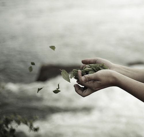 Walking in the wind. 🍃