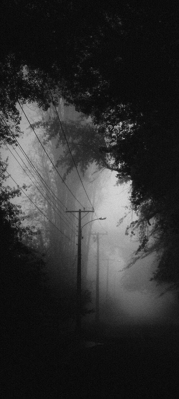 Silencio Nocturno 