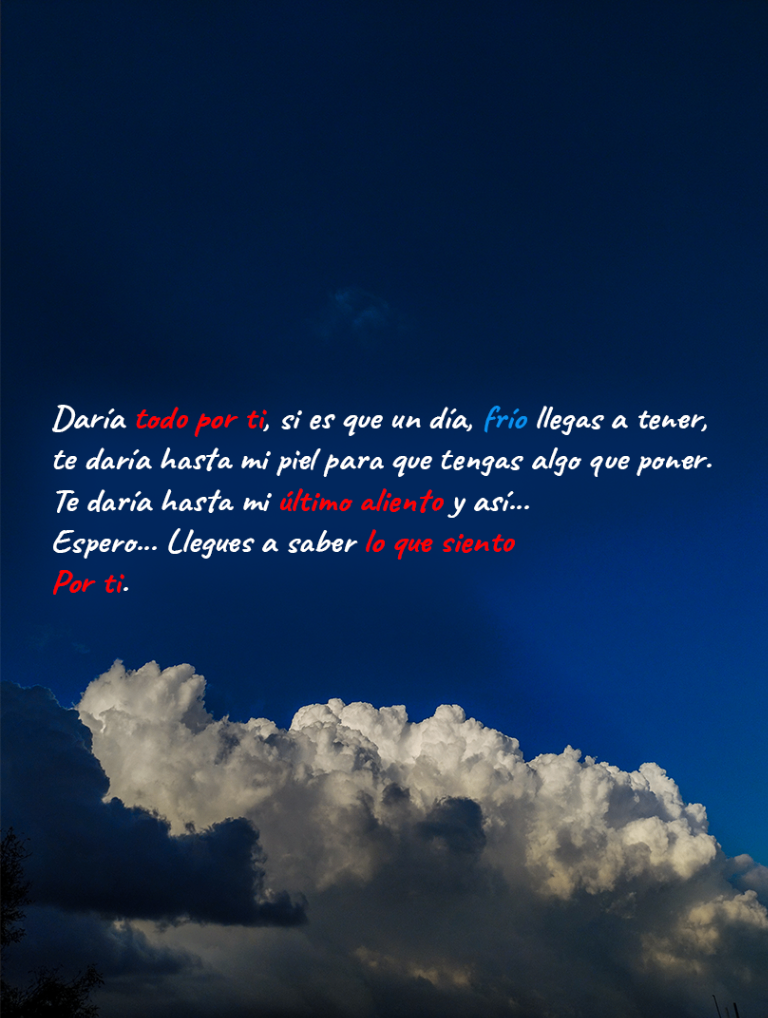 Daría todo por ti