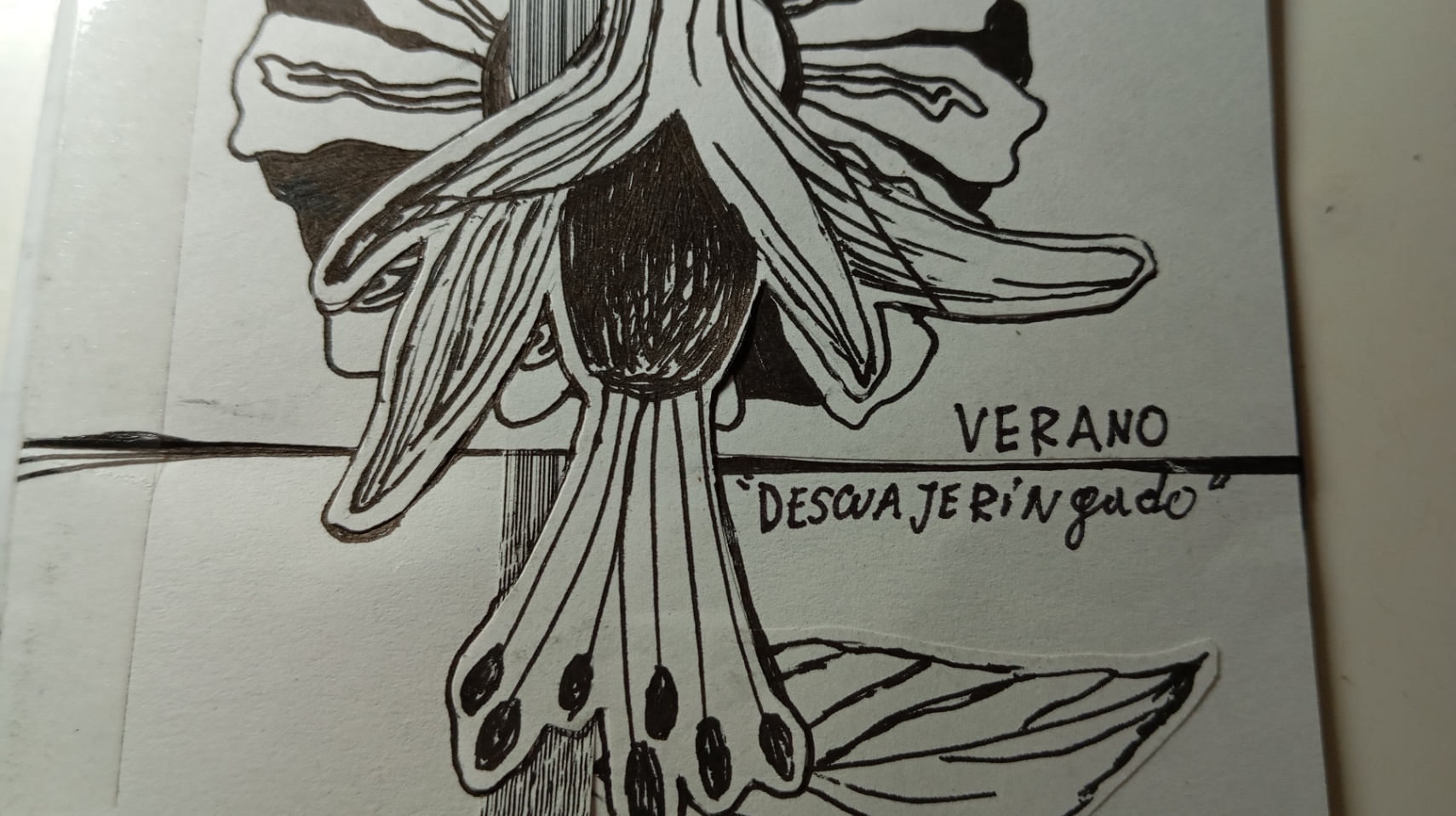 verano. parte 2