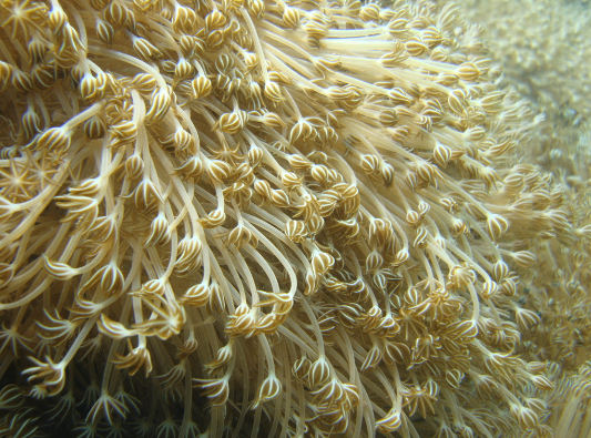 Mariano Muldowney cover img