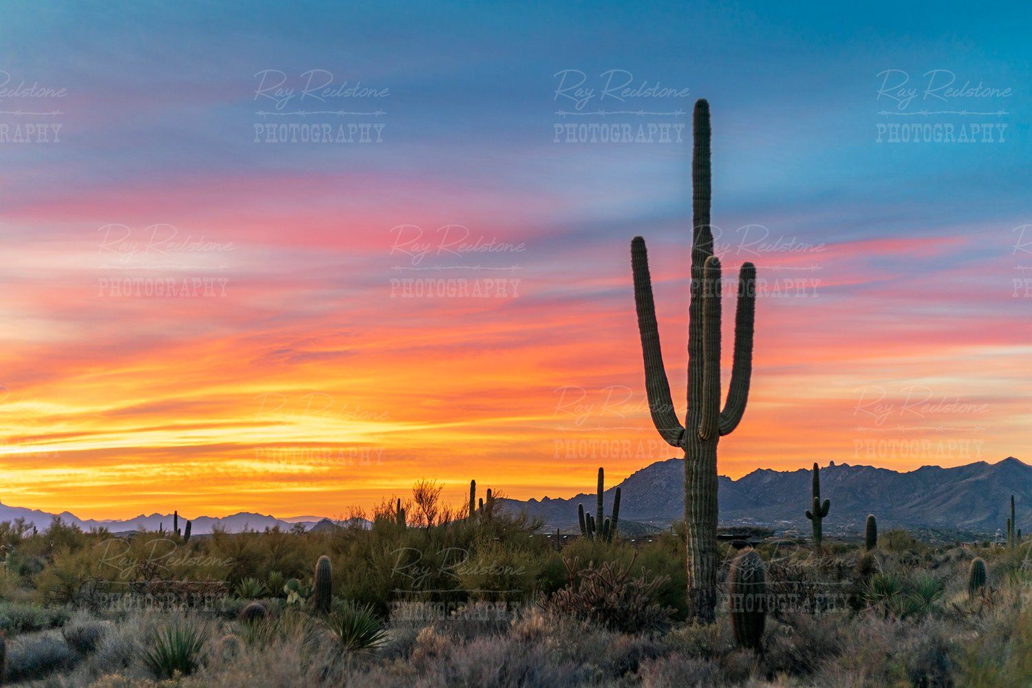 Fragmentos de la vida