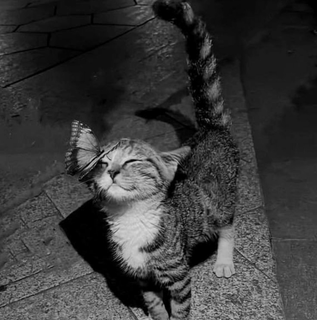 Qué hacer con ella ?