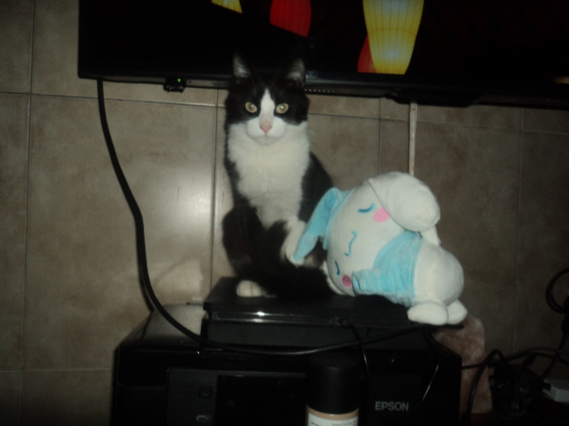 agustin 