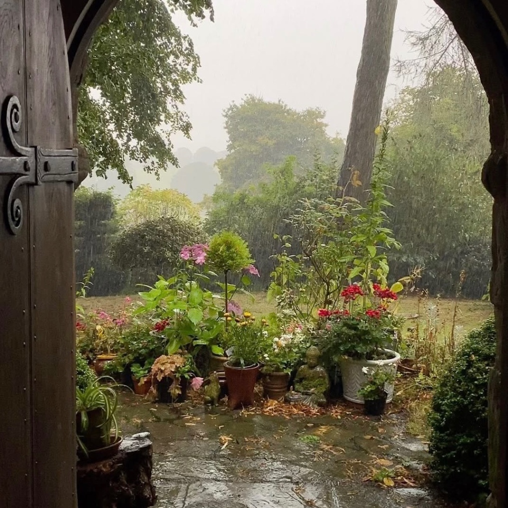 el patio que creció en tu pecho