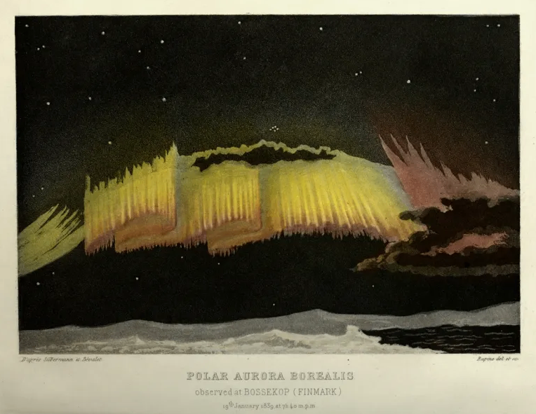 xuls the xuls cover img