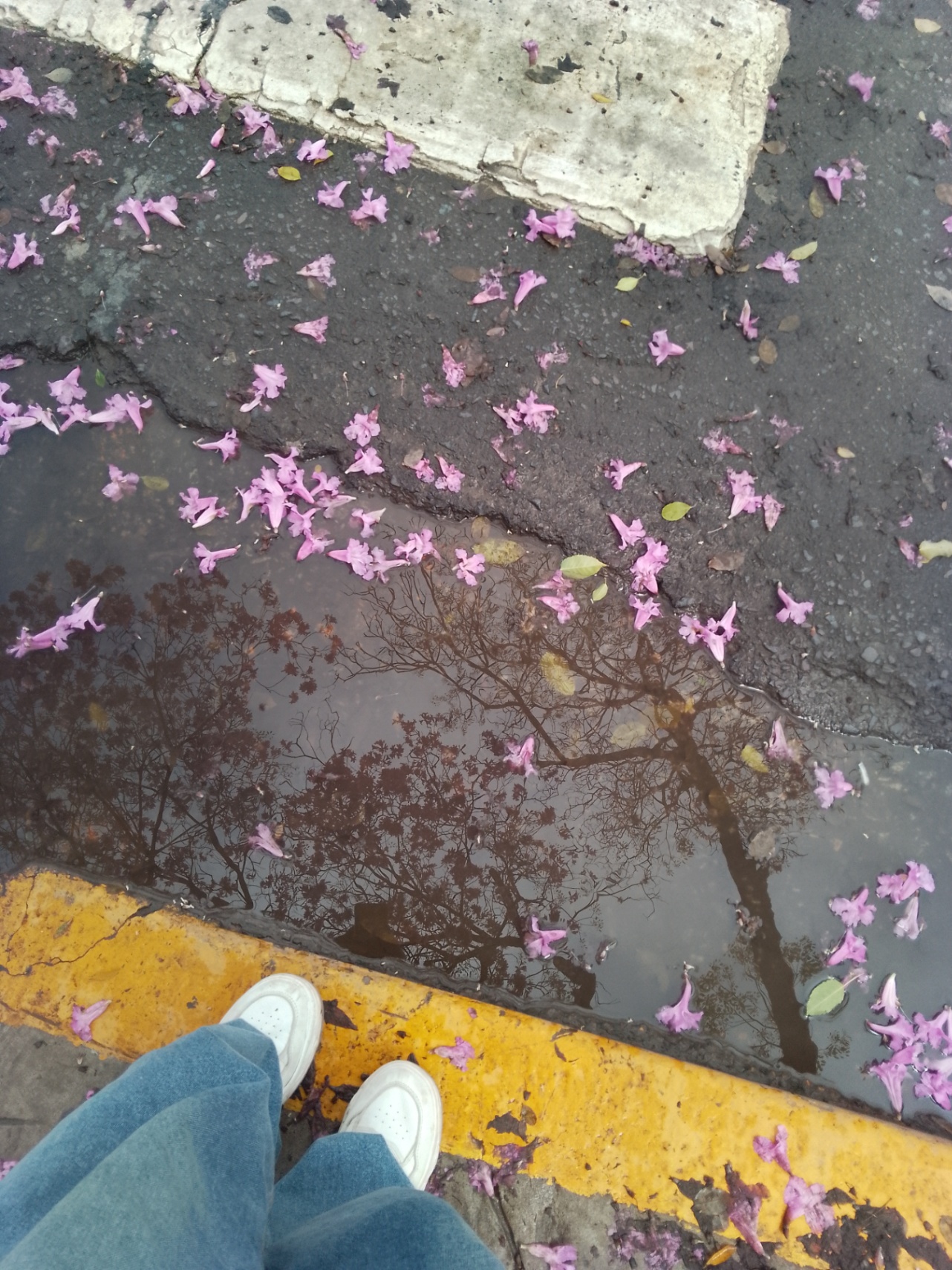 No estoy enojada con vos 