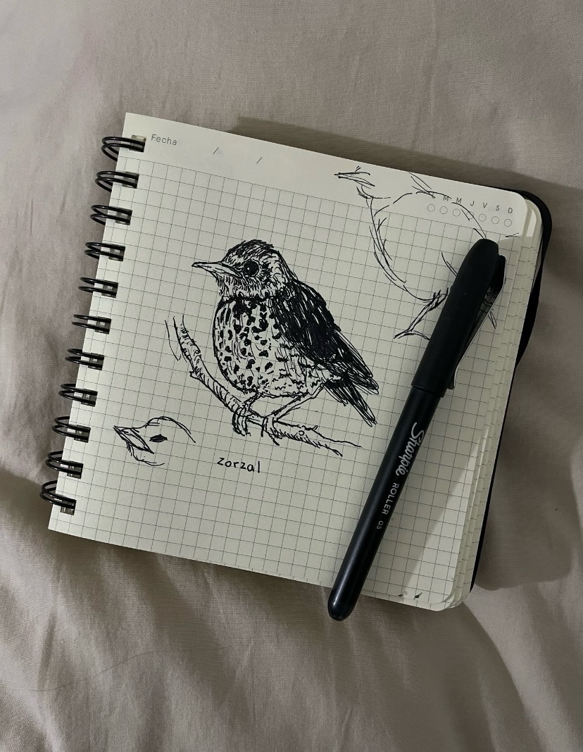 ⠀⠀⠀⠀⠀⠀⠀⠀⠀ ⠀⠀⠀⠀⠀ ⠀⠀⠀