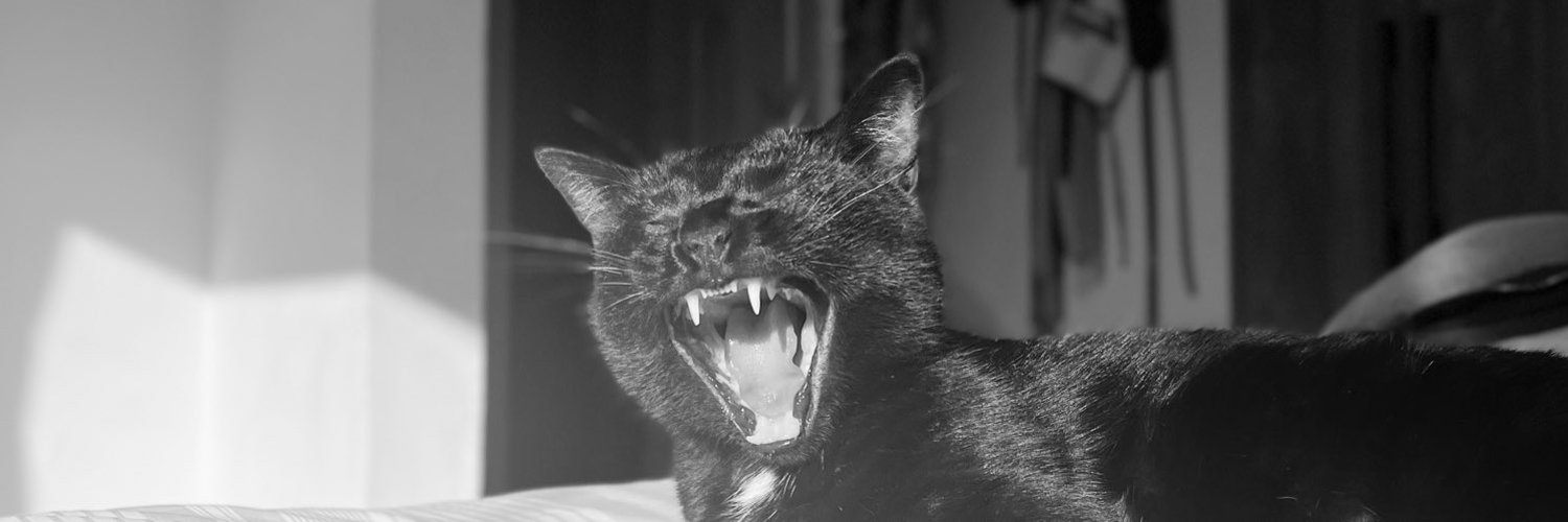 LA ÚLTIMA VEZ QUE TE VI 🐈‍⬛