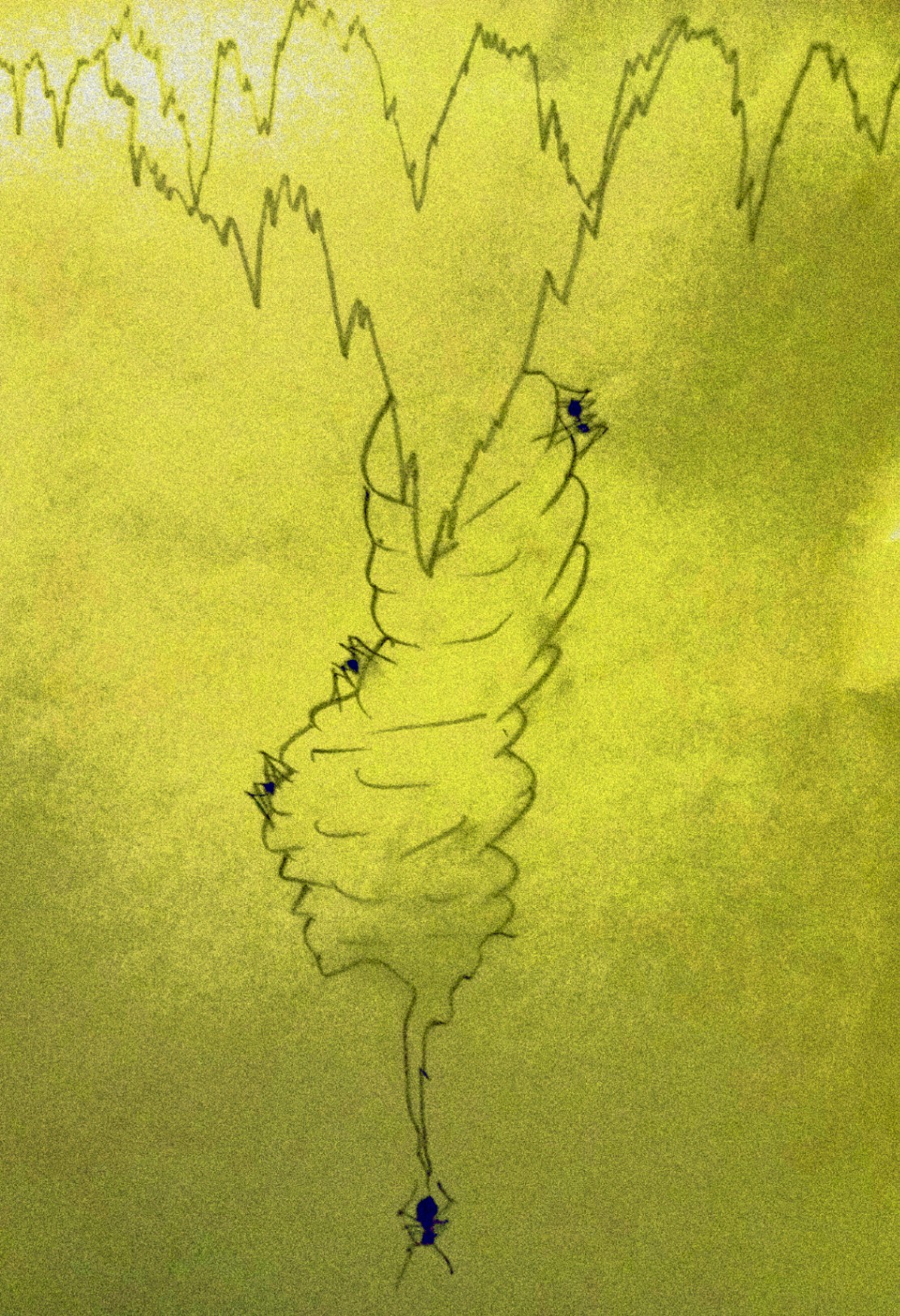 Sima