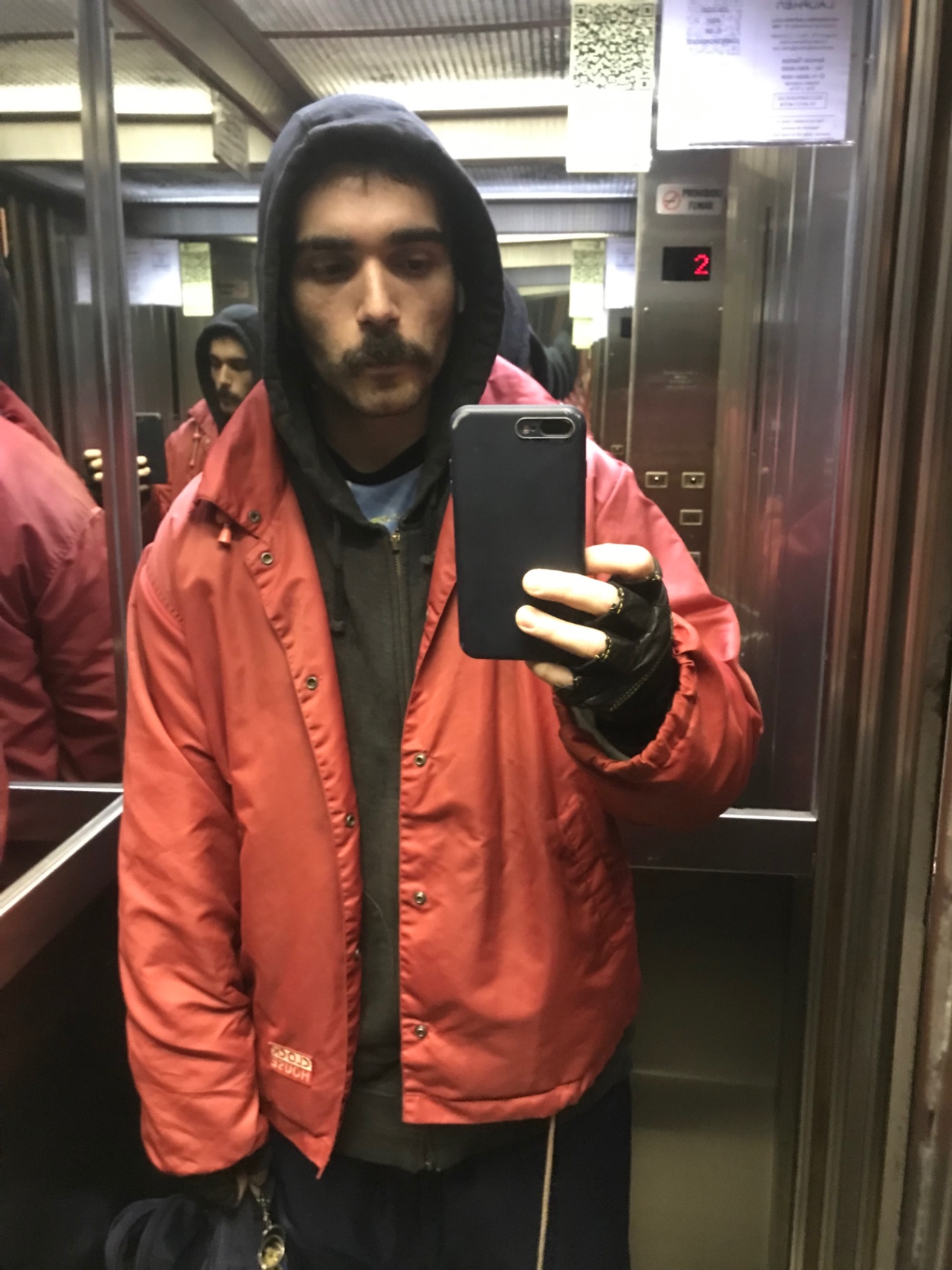 Diario de un escarabajo