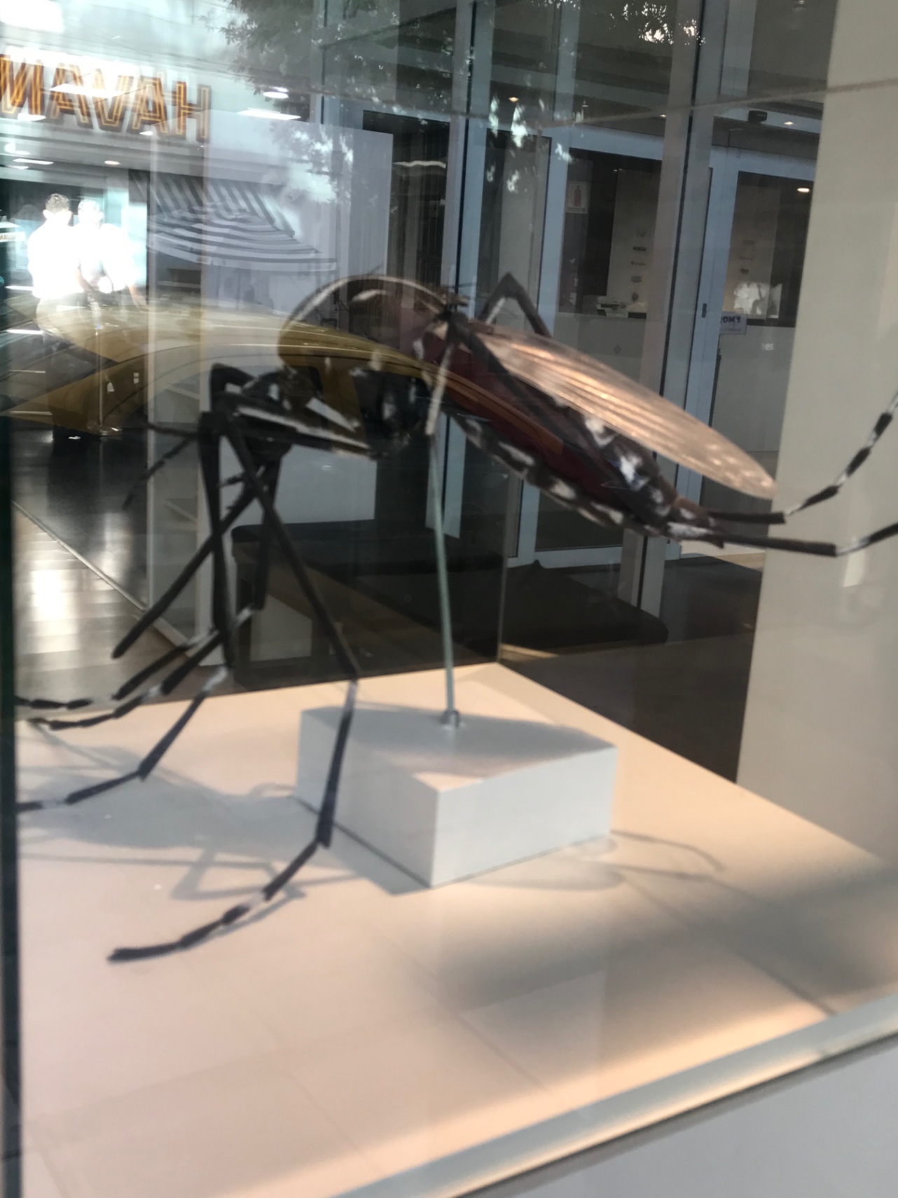 Dengue