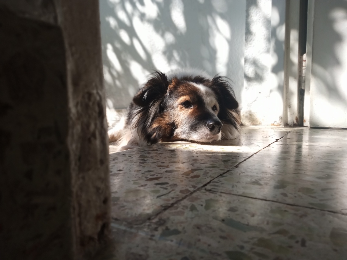 lulita