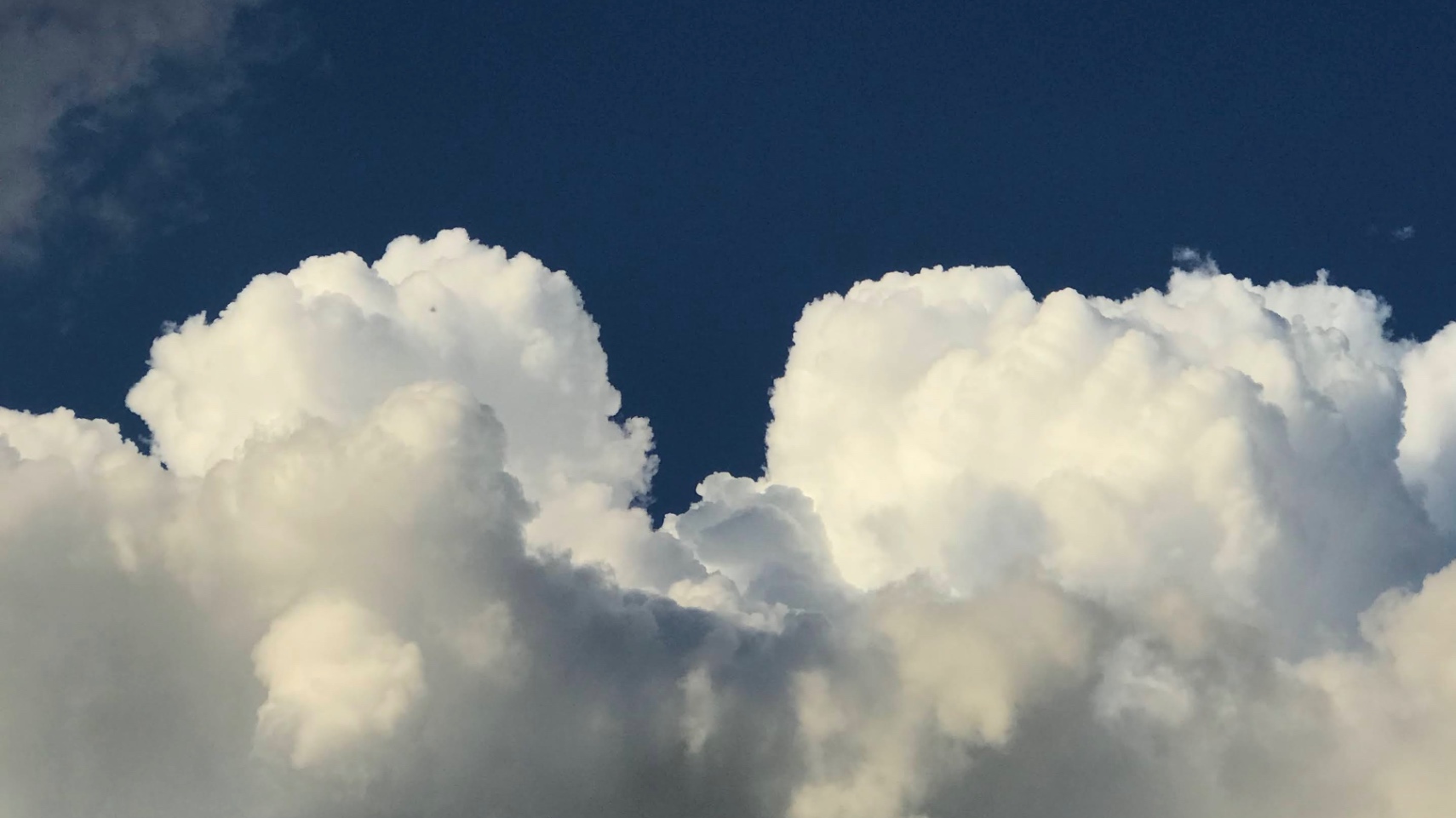 Tatiana Diederle cover img