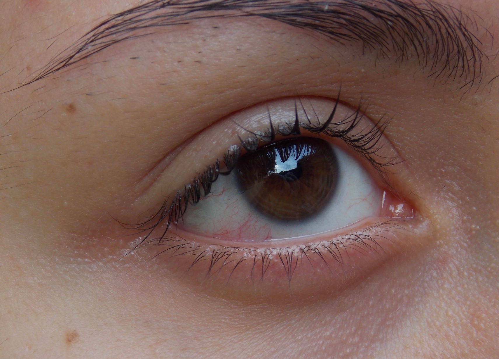 Allí donde sus ojos no ven