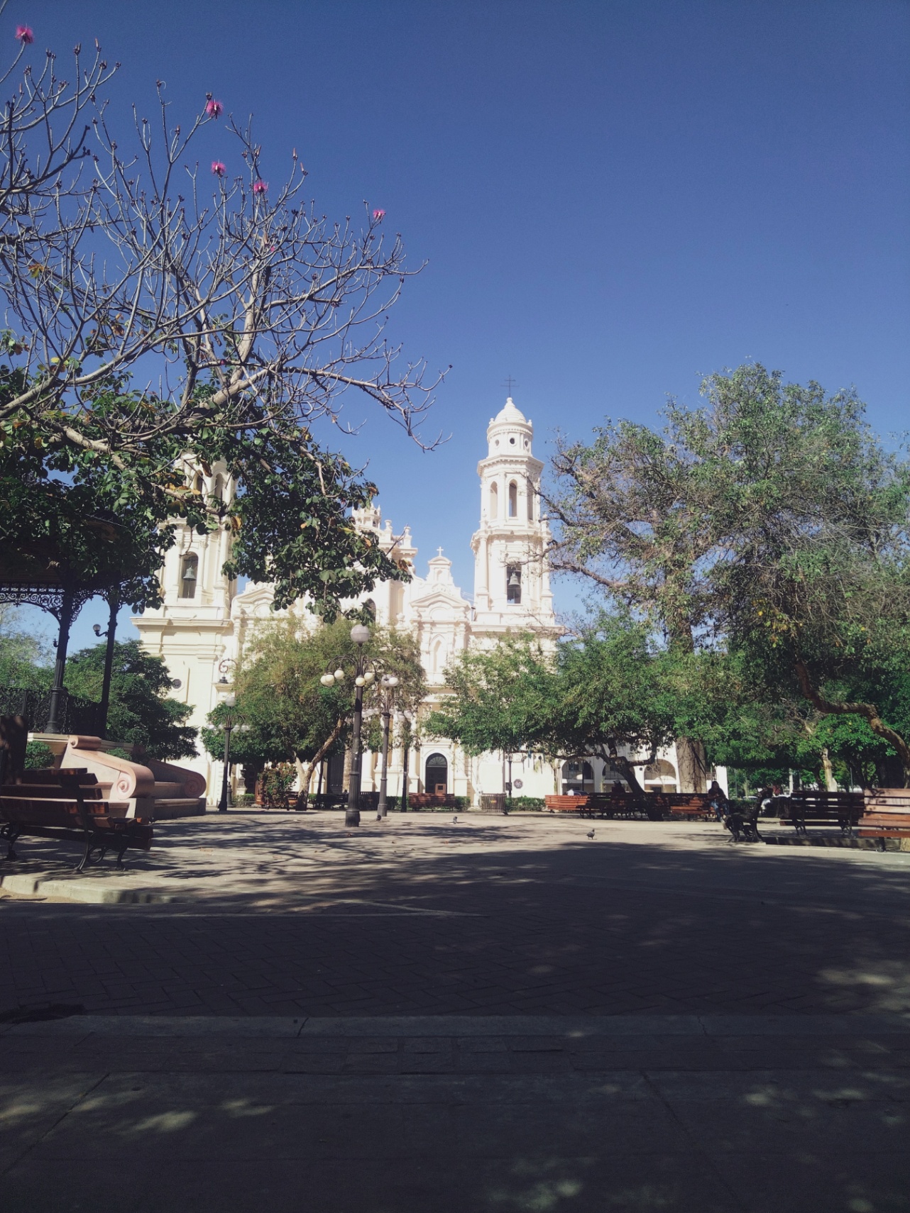 "Donde mueren los extraños"