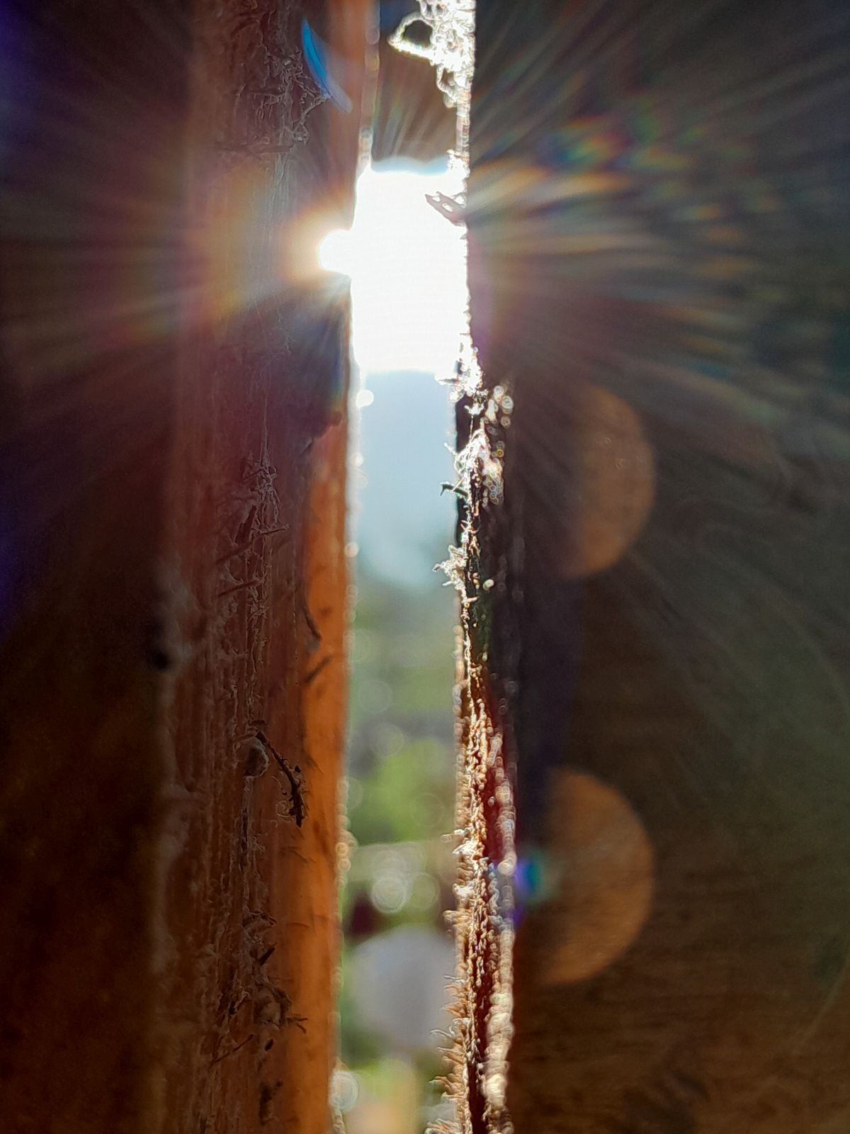 Crónica de un alumbramiento