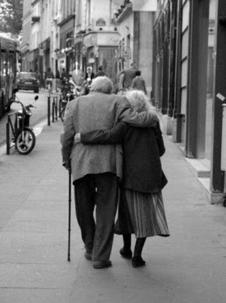 Amor