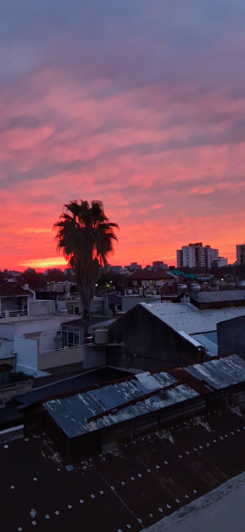 Reflexiones de invierno sobre el amor