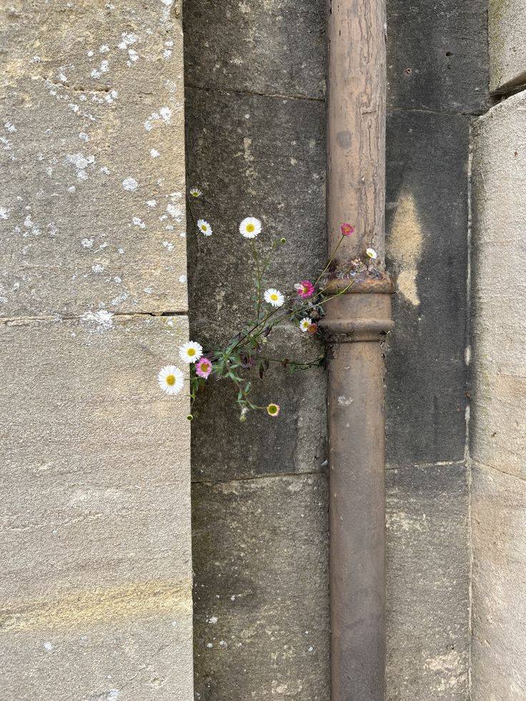 el momento en que todo parece ir bien