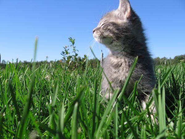 más allá de mi soledad