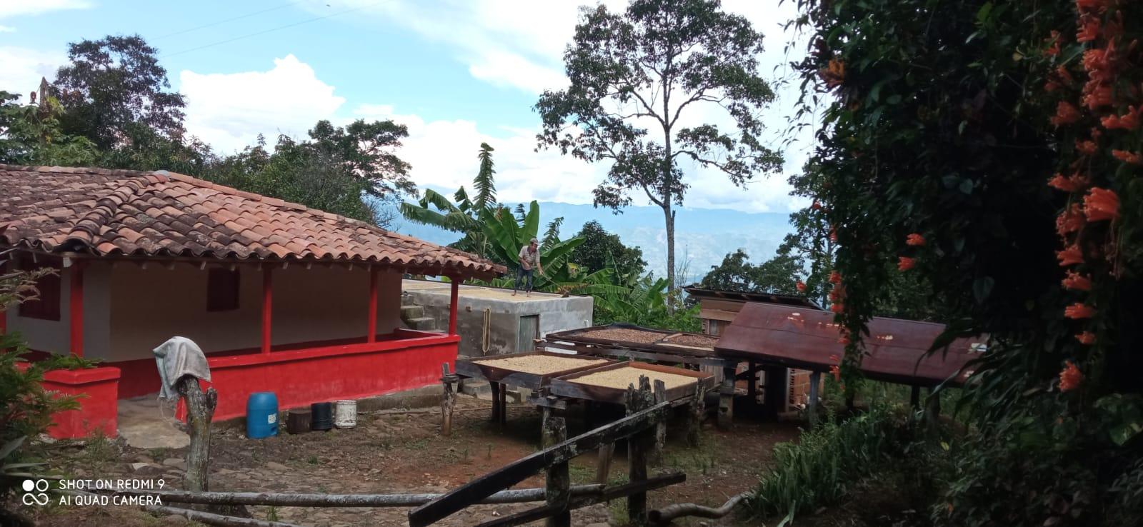 Conciencia no lineal y pensamiento lineal